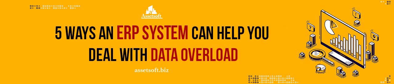 How You Can Prevent Data Overload With ERP Software